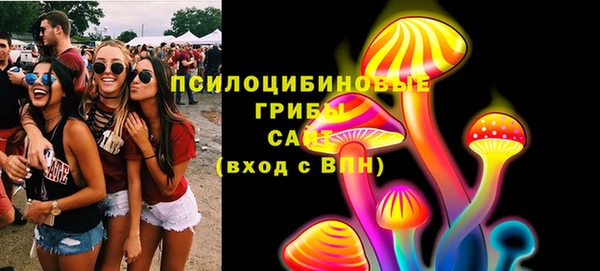 сатива Мегион