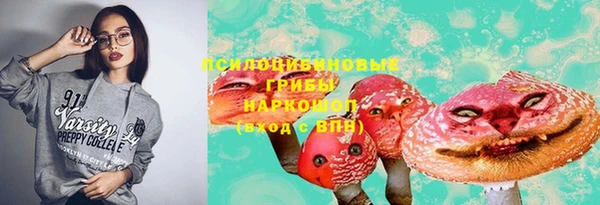 сатива Мегион