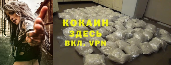 сатива Мегион