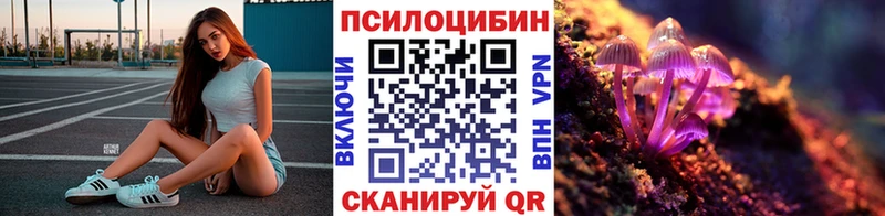 магазин    дарк нет официальный сайт  Галлюциногенные грибы Psilocybe  Клинцы 