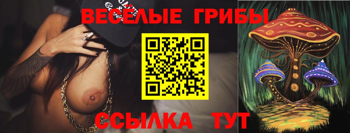 даркнет сайт  Вход с VPN  Клинцы  Псилоцибиновые грибы ЛСД 