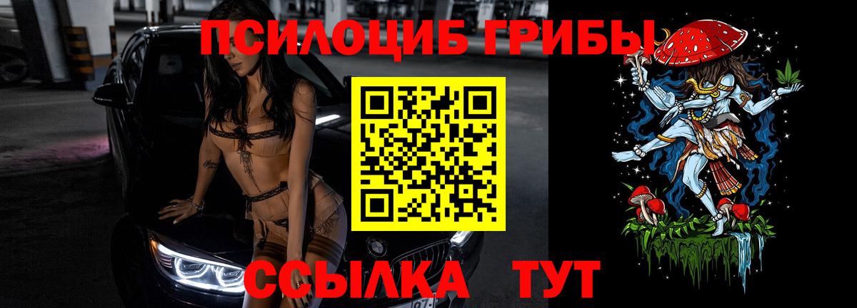 Псилоцибиновые грибы мицелий Клинцы